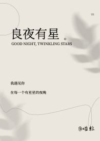 良夜by蒸馏朗姆酒全文番外